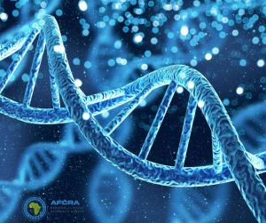 Médecine génomique en Afrique – Tests génétiques et maladies rares – AFCRA SMO
