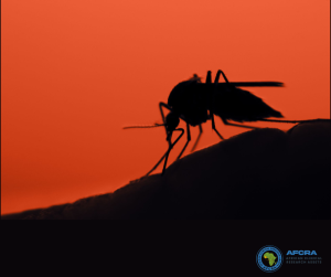 Paludisme en Afrique – Recherche clinique et innovations contre le malaria – AFCRA SMO